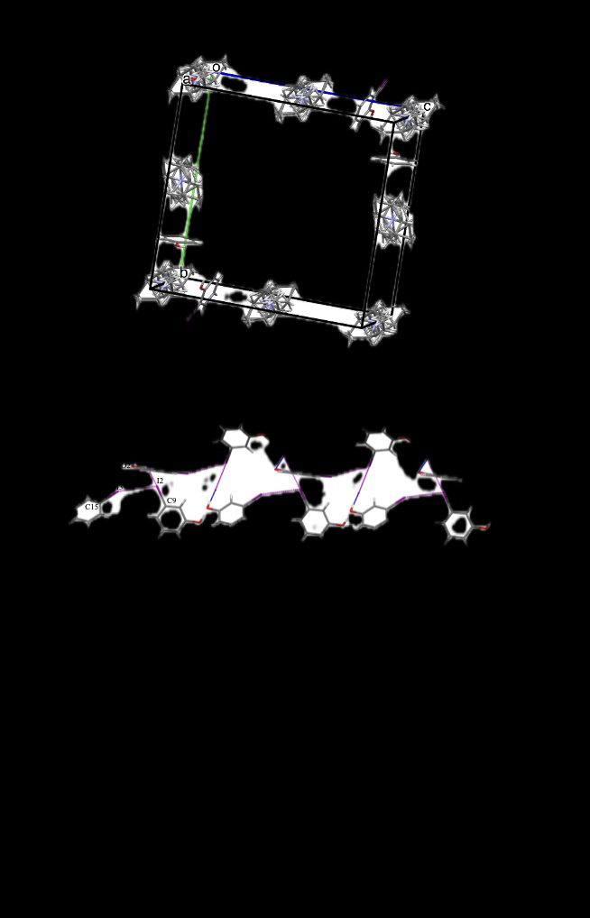 Pictures for symposium