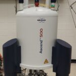 NEO500Cryoprobe NEO500Cryoprobe