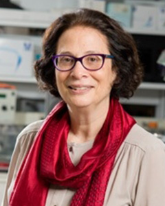 Dr. Sandra Wolin