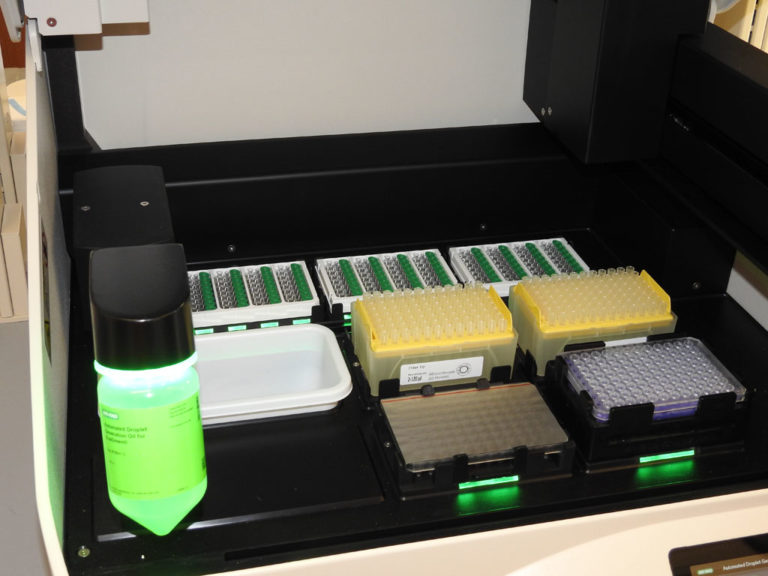 bio rad qx600