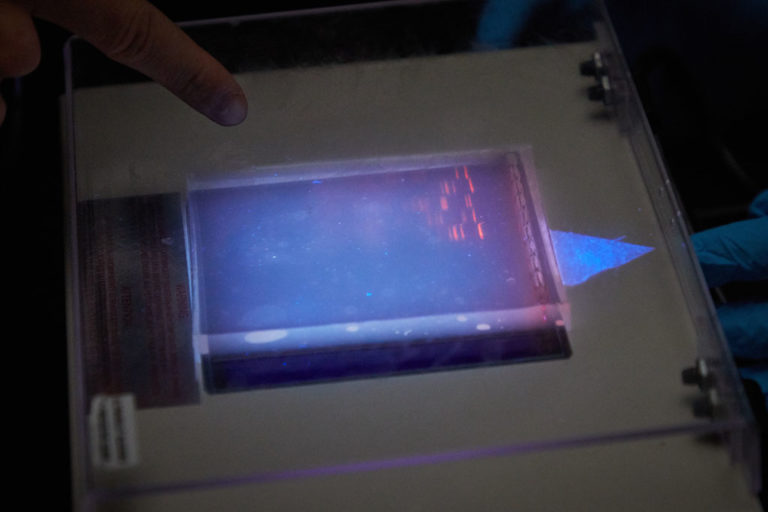 030320 WISOM WHS IMG 9896