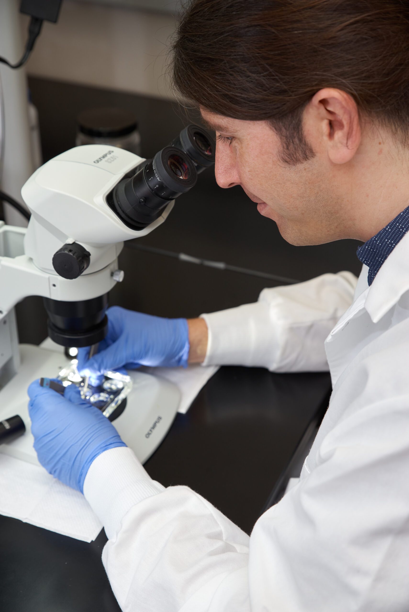 Clemson University Center for Human Genetics, Greenwood, SC A man works at a microscope with PPE on