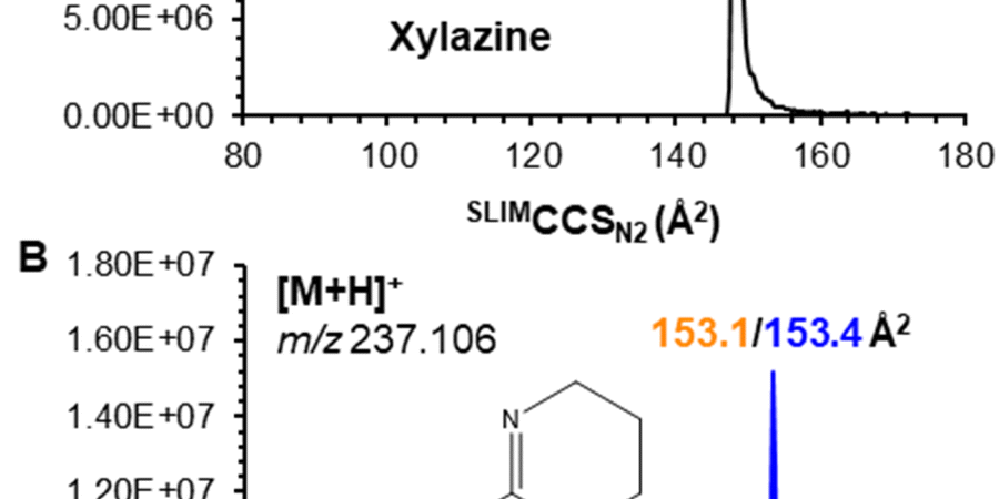 d4ay00801d f1 hi res