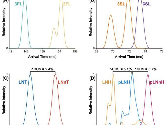 Screenshot 2026 02 24 123025