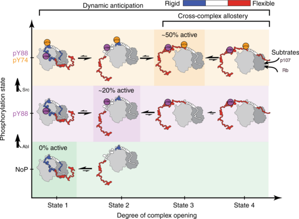 41467 2019 9446 Fig6 HTML 41467 2019 9446 Fig6 HTML