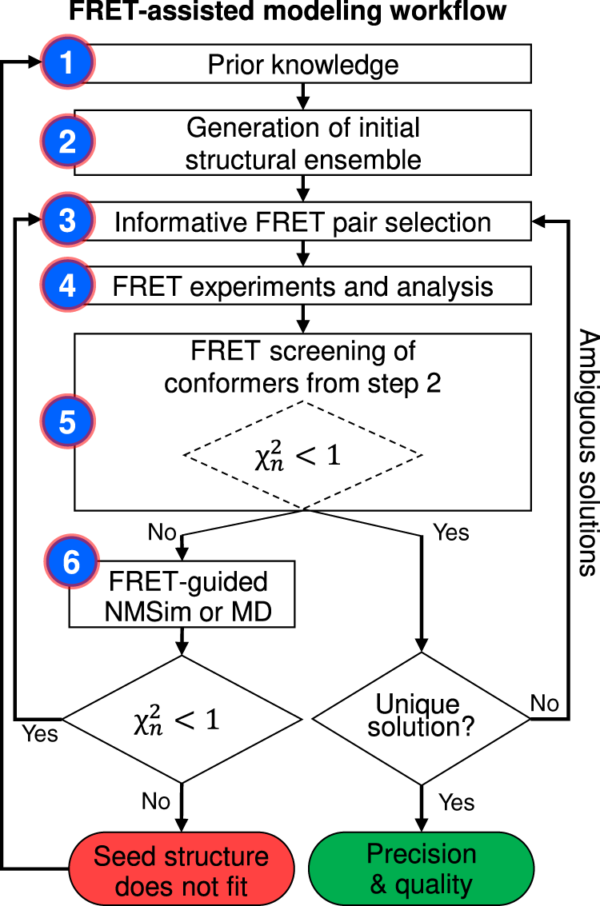 Dimura NatComm Dimura NatComm
