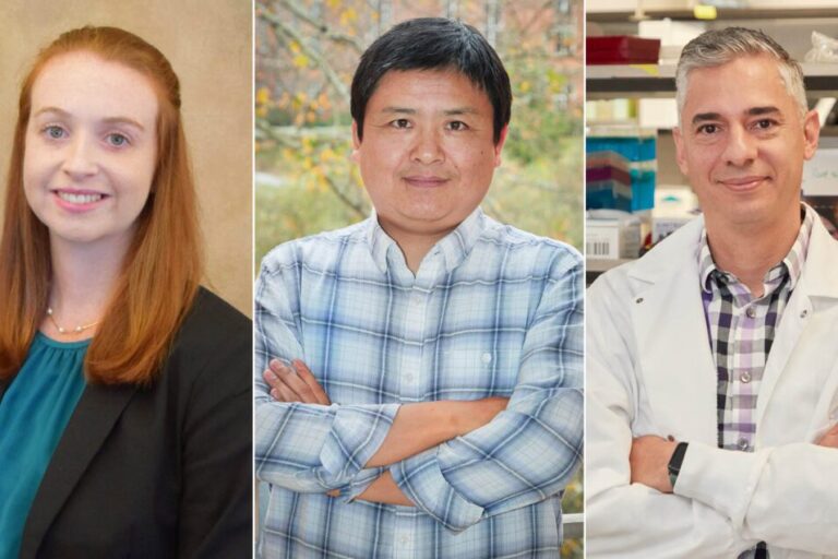 composite byrne ding sanabria 1130x636