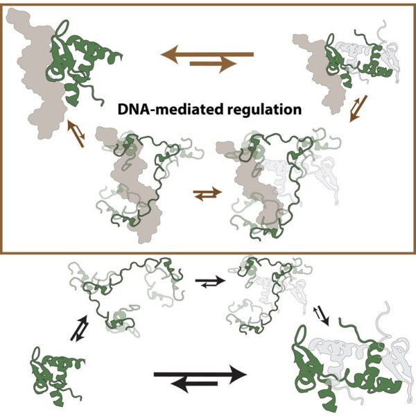 1 s2.0 S2666386424000791 fx1 lrg