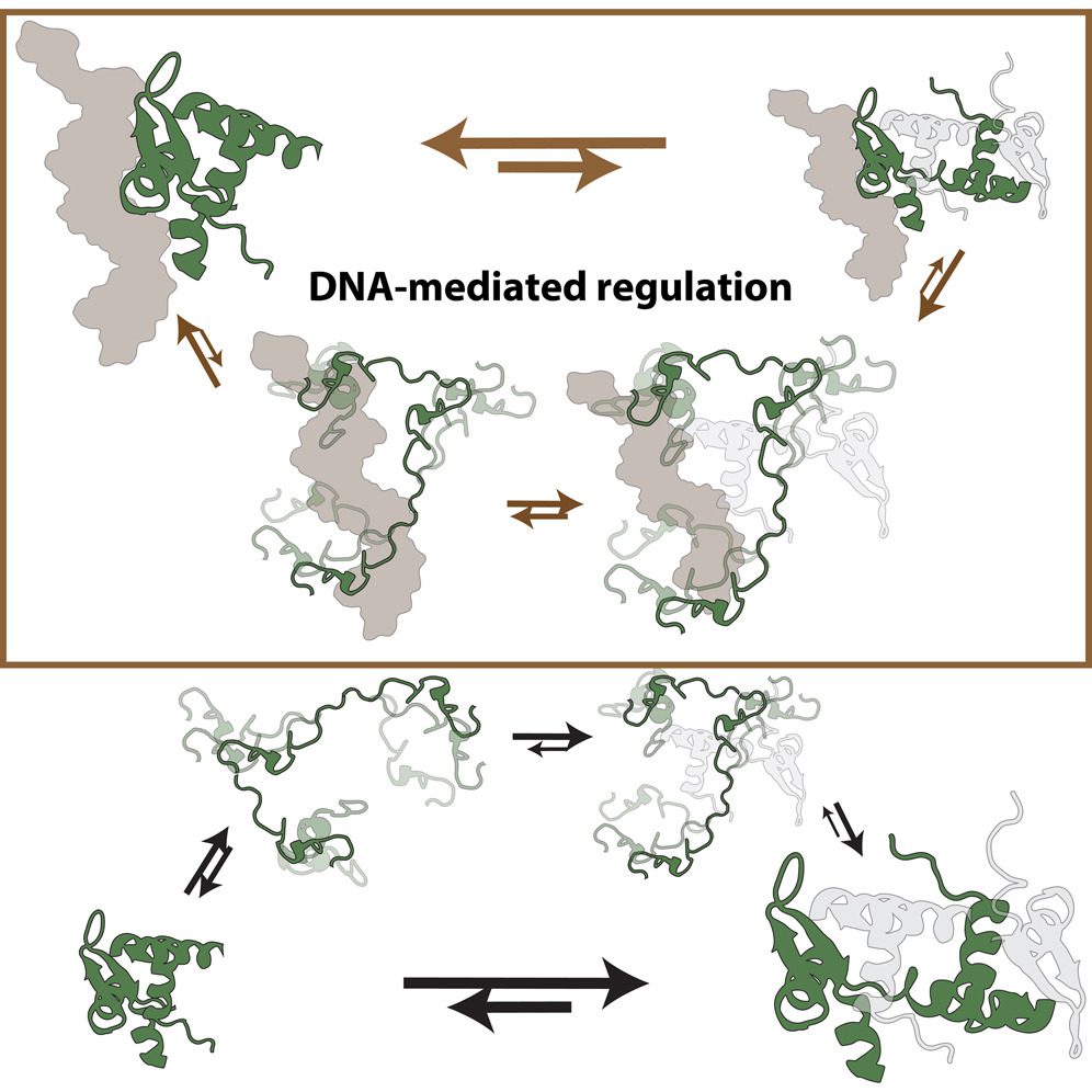 1 s2.0 S2666386424000791 fx1 lrg