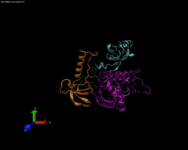 elife 77242 fig9 video1 24 elife 77242 fig9 video1 24
