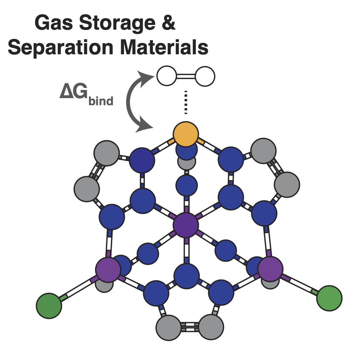 A schematic drawing of a molecule with white filled circles attached to a structure with blue, gray, purple, yellow, and green circles.