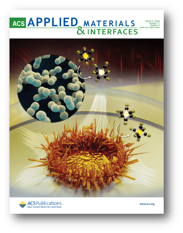 Cover image for a paper in ACS Applied Materials and Interfaces