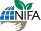 Logo for USDA-NIFA