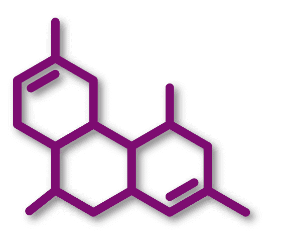 molecule