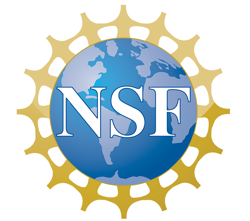NSB 4 color logo PNG